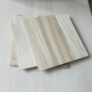 Paulownia brotnar stjórnir til sölu