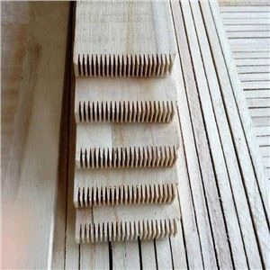 Paulownia timburbretti